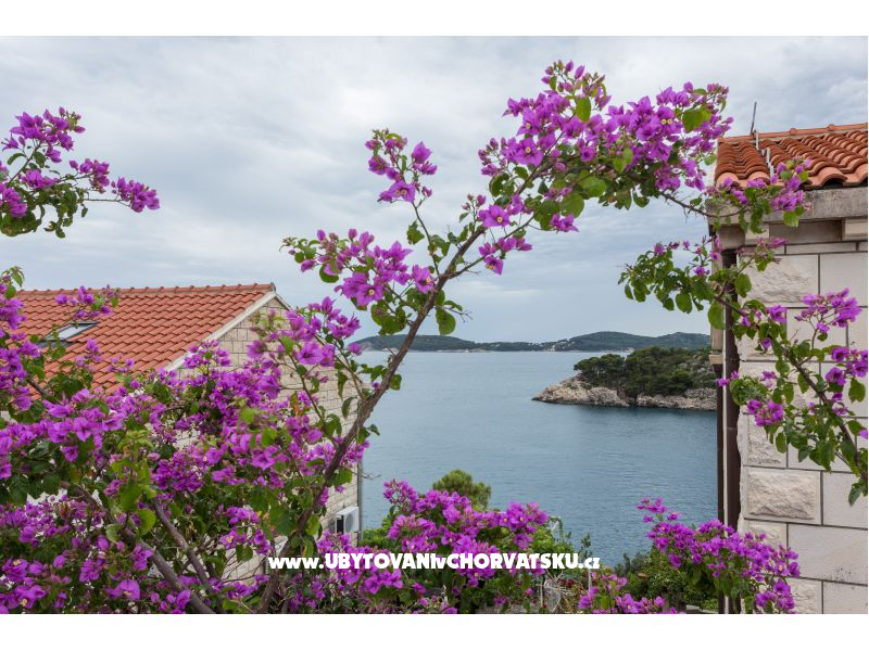 Villa Amica – Ferienwohnung Dubrovnik, Kroatien – Foto 29