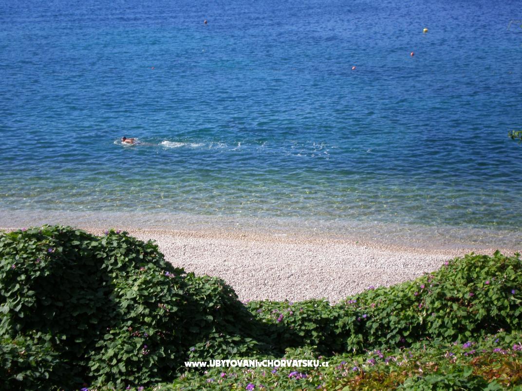 Villa Doris Ferienwohnungen – Ferienwohnung Dubrovnik, Kroatien – Foto 5