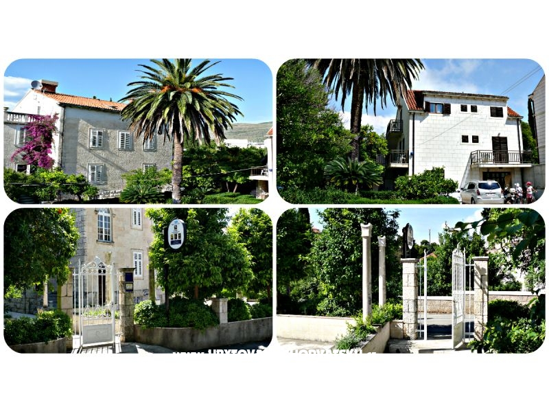 Villa Micika - Dubrovnik – Ferienwohnung Dubrovnik, Kroatien – Foto 4