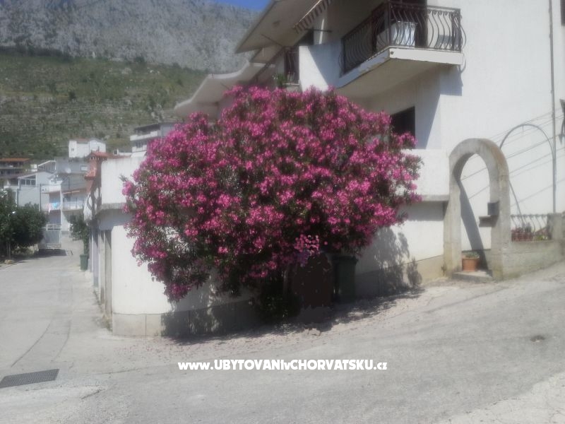 Apartmán Pero – ubytování Dugi Rat, Chorvatsko – foto 3