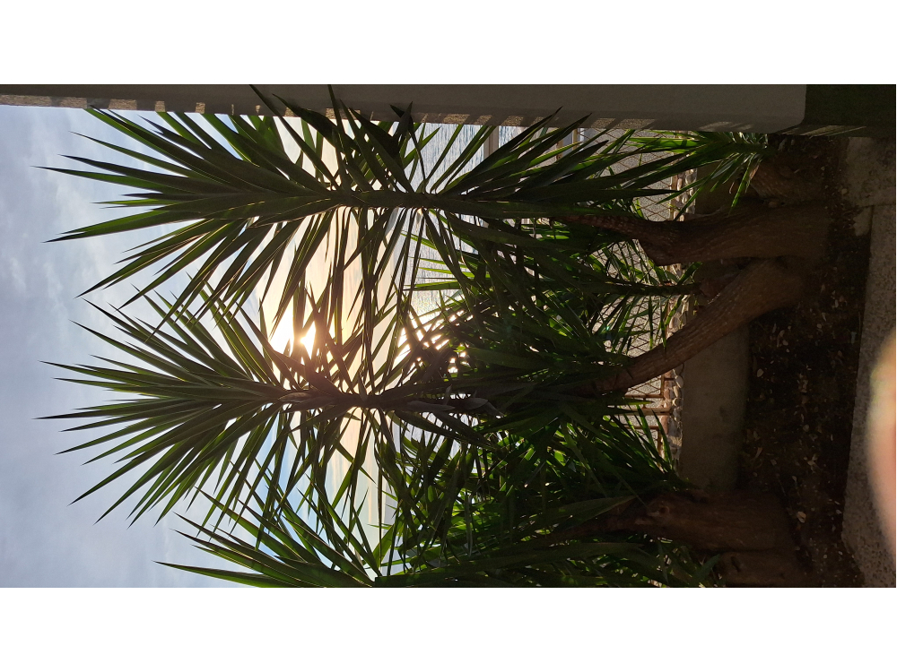 Apartmani Mary - Dugi Rat Hrvatska