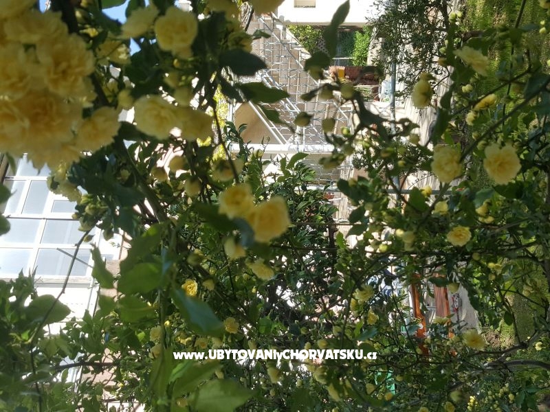 Nadija – Ferienwohnung Dugi Rat, Kroatien – Foto 11