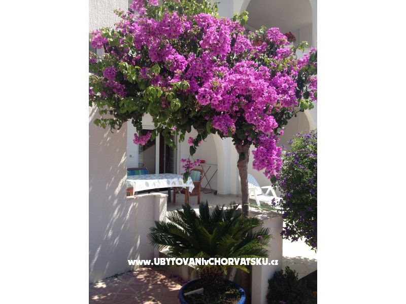Villa Orij Ferienwohnungen – Ferienwohnung Dugi Rat, Kroatien – Foto 5