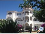 Villa Orij Ferienwohnungen – Dugi Rat – Vorschau 1