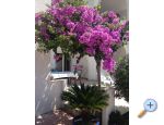 Villa Orij Ferienwohnungen – Dugi Rat – Vorschau 5
