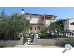 Apartmaji Irena - Faana Hrvaka