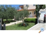 Apartmaji Irena - Faana Hrvaka
