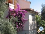 Apartmaji Irena - Faana Hrvaka