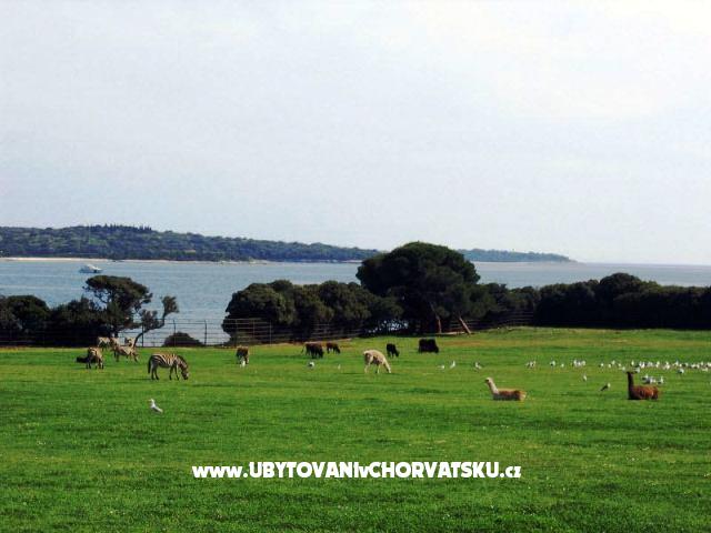 Apartment Buzleta – Ferienwohnung Fazana, Kroatien – Foto 16