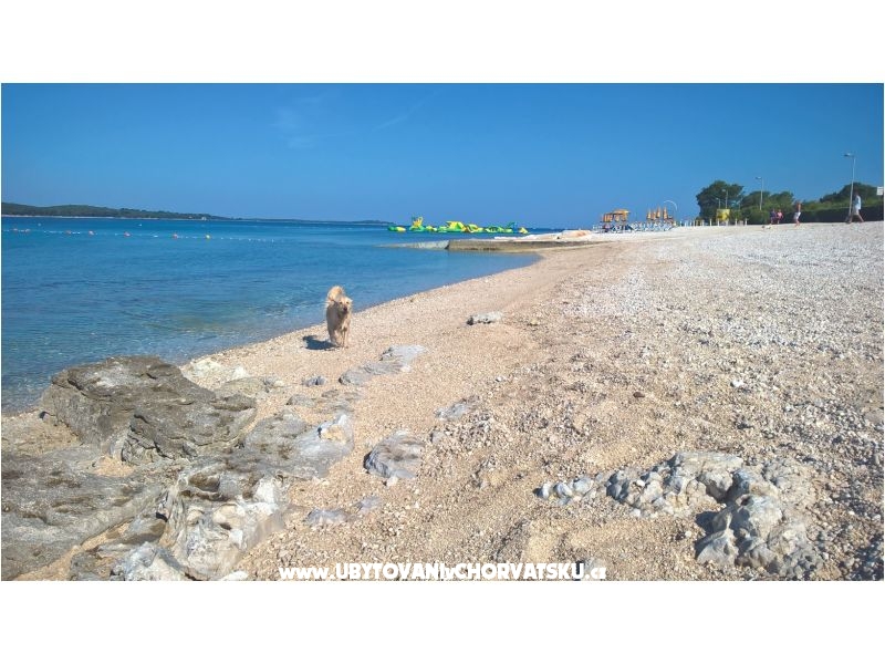 Apartment Flora – Ferienwohnung Fazana, Kroatien – Foto 13