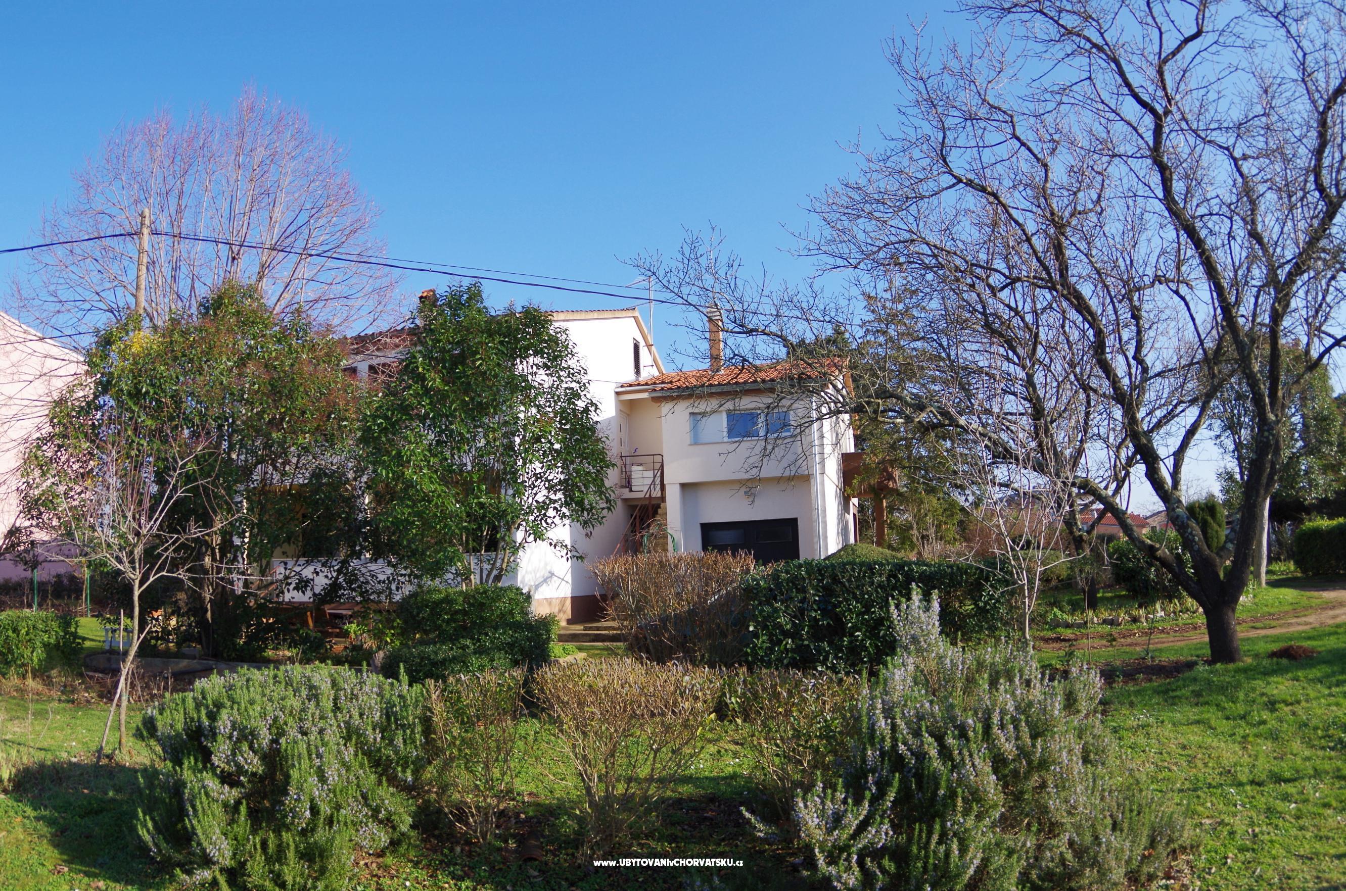 Apartment Leni – Ferienwohnung Fazana, Kroatien – Foto 8