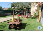 Apartmaji Beni - Faana Hrvaka