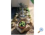 Apartmaji Beni - Faana Hrvaka