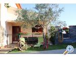 Apartmaji Beni - Faana Hrvaka