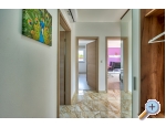 Appartements KAJIC - Faana - Faana Kroatien