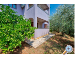Apartmny Petra - Faana Chorvatsko