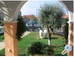 Apartmn Oliva - Faana Chorvatsko