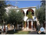 Apartma Oliva - Faana Hrvaka