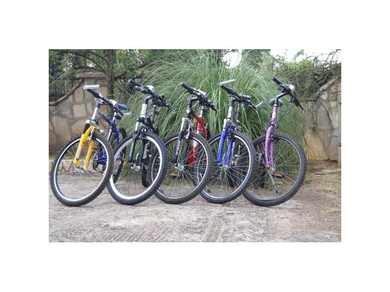 Ferienwohnungen Skoravic – Ferienwohnung Fazana, Kroatien – Foto 13