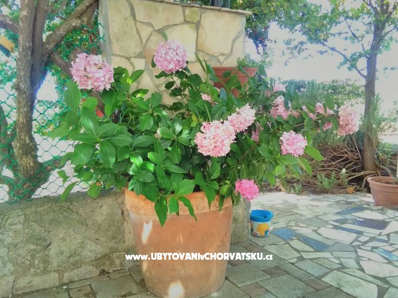 Luka – ubytování Fažana, Chorvatsko – foto 2