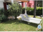 Appartements VIKI - Faana Kroatien