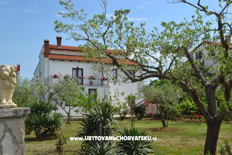 Vila Nona Ivka – ubytování Fažana, Chorvatsko – foto 2