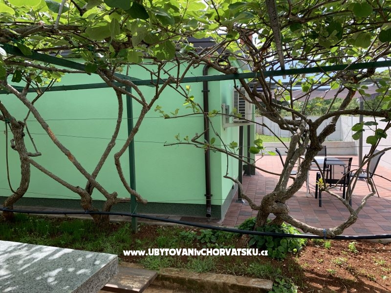 Villa Pinija – Ferienwohnung Fazana, Kroatien – Foto 15