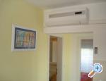 Appartement Klara - Sv. Filip i Jakov Croatie