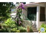 Appartements Majica - Sv. Filip i Jakov Kroatien