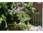 Appartements Majica - Sv. Filip i Jakov Kroatien