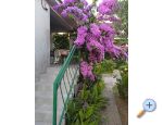 Appartements Majica - Sv. Filip i Jakov Kroatien