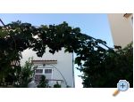 Apartmaji Matej - Sv. Filip i Jakov Hrvaka