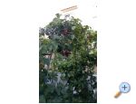 Apartmaji Matej - Sv. Filip i Jakov Hrvaka