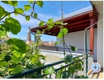 Appartements Andjelka &amp; Jure - Sv. Filip i Jakov Kroatien