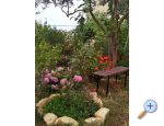 Apartmaji Andjelka &amp; Jure - Sv. Filip i Jakov Hrvaka