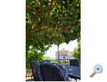 Apartmaji Andjelka &amp; Jure - Sv. Filip i Jakov Hrvaka