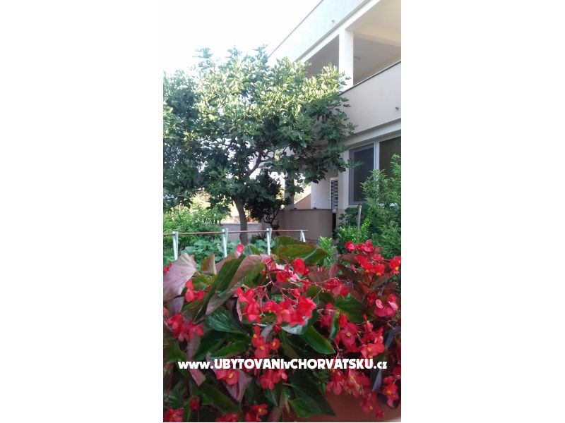 Apartment   " ARZENŠEK " – Ferienwohnung Sv. Filip i Jakov, Kroatien – Foto 12