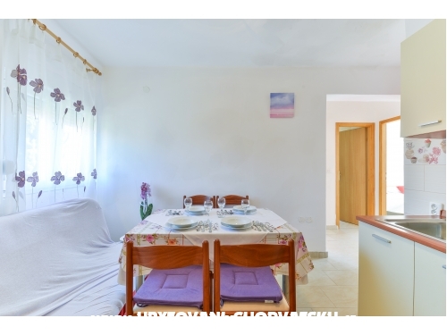 Appartements CITRUS - Sv. Filip i Jakov Croatie