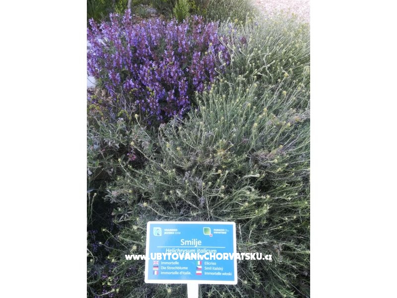 Appartements Colić – Ferienwohnung Sv. Filip i Jakov, Kroatien – Foto 14