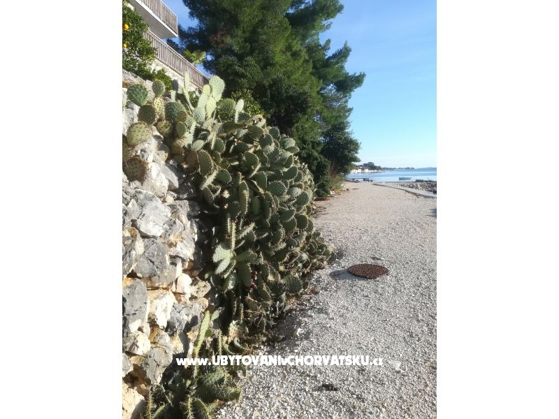 Appartements Colić – Ferienwohnung Sv. Filip i Jakov, Kroatien – Foto 18