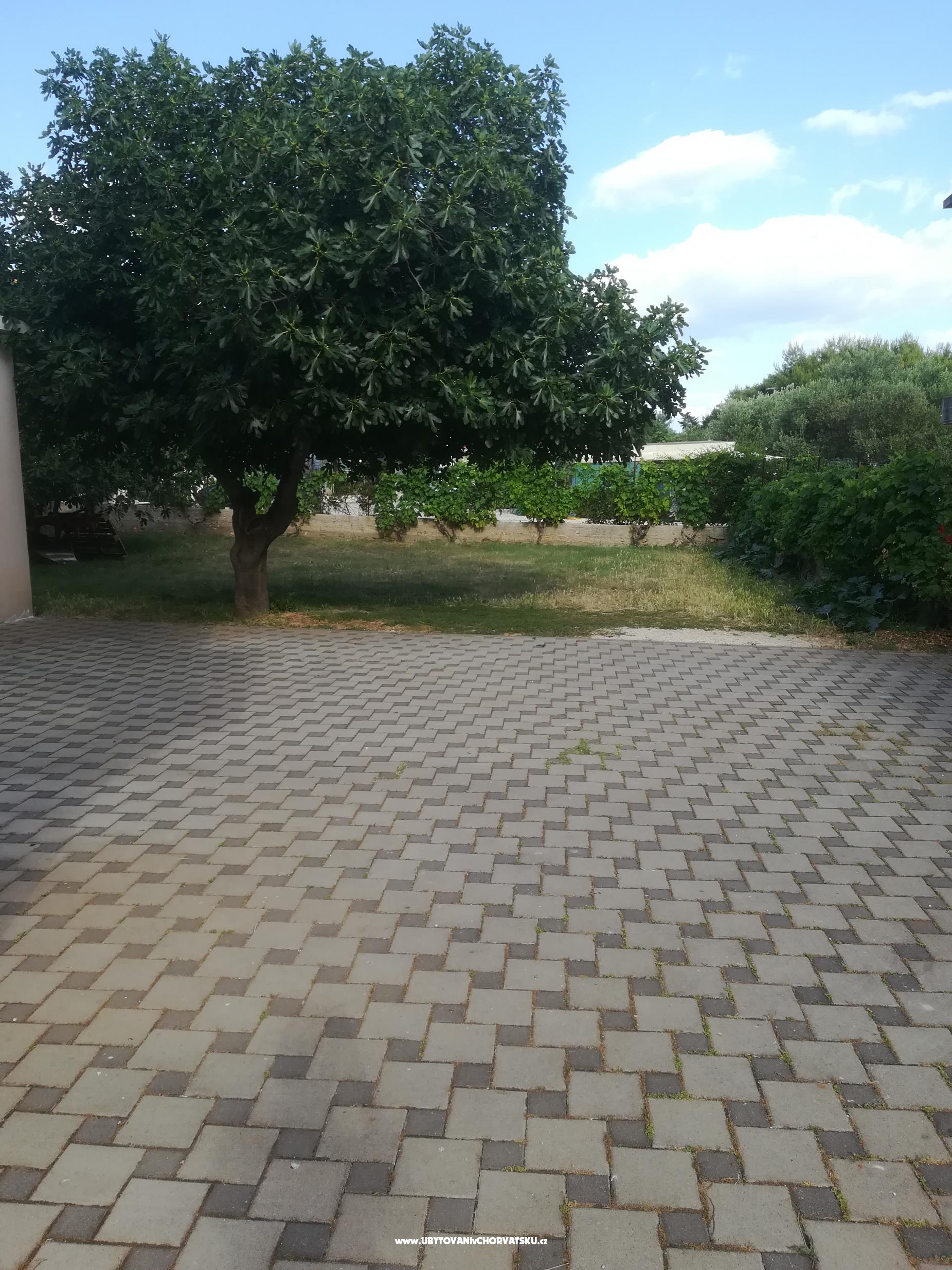 Appartements Colić – Ferienwohnung Sv. Filip i Jakov, Kroatien – Foto 3