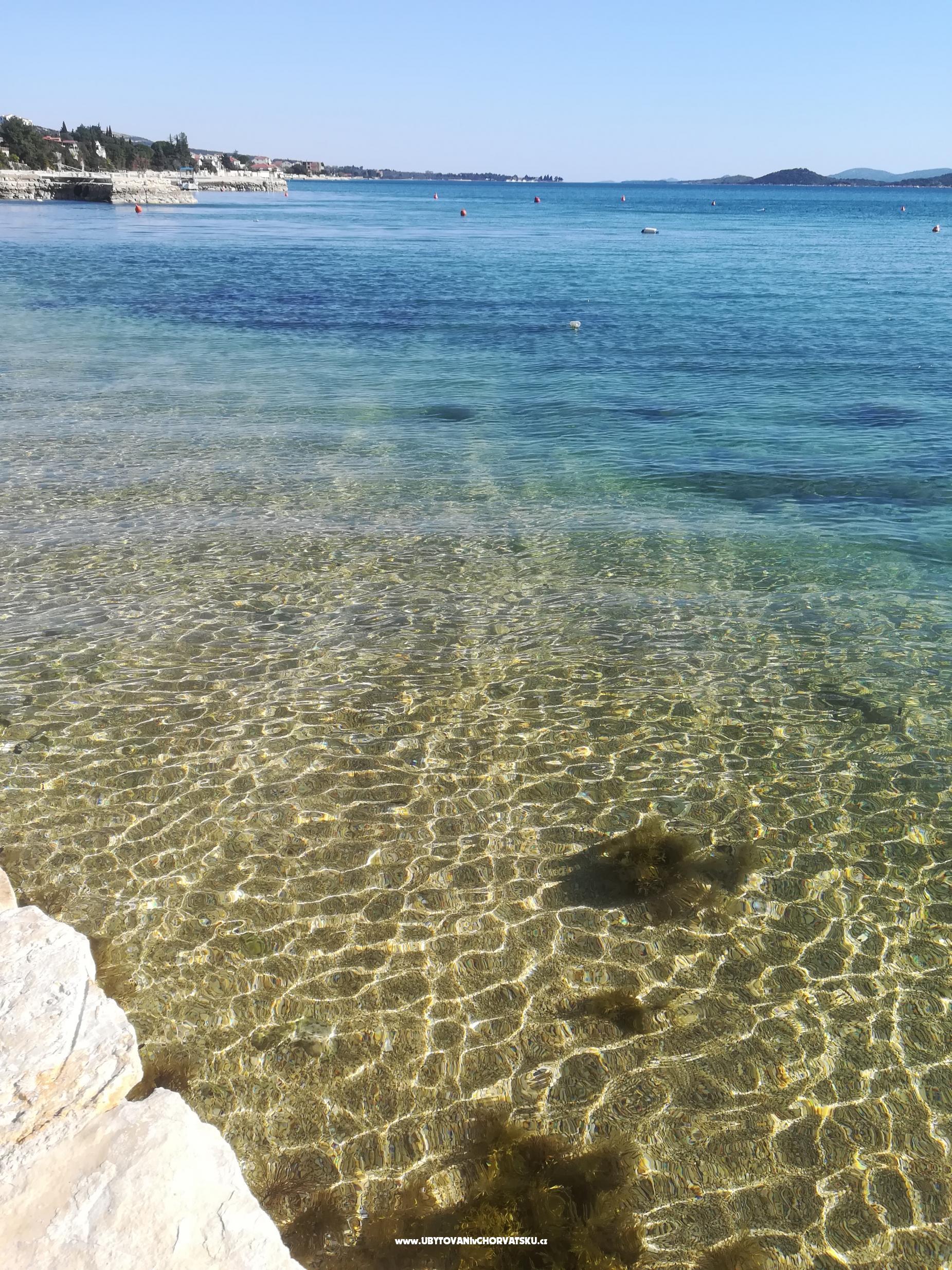 Appartements Colić – Ferienwohnung Sv. Filip i Jakov, Kroatien – Foto 7