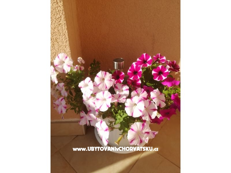 Appartements Colić – Ferienwohnung Sv. Filip i Jakov, Kroatien – Foto 9