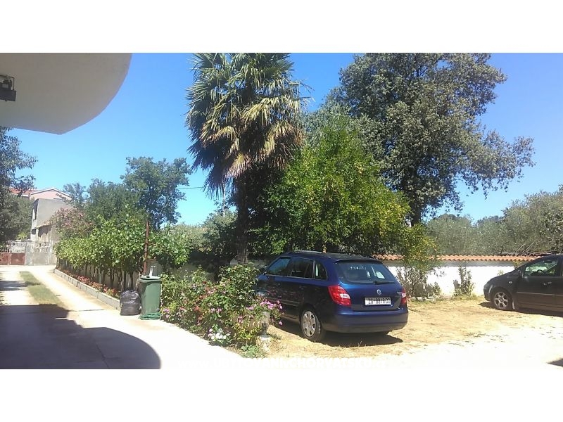 Appartements Danijela 1 – Ferienwohnung Sv. Filip i Jakov, Kroatien – Foto 13