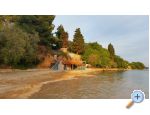 Appartements Dijana - Sv. Filip i Jakov Croatie