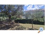 Apartmány Dijana – Sv. Filip i Jakov – náhled 13