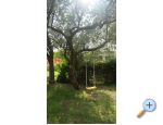 Appartements Dijana - Sv. Filip i Jakov Croatie