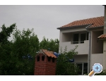 Appartements Diklan - Sv. Filip i Jakov Kroatien