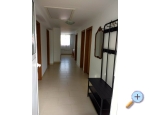 Appartements Ela - Sv. Filip i Jakov Kroatien
