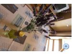 Appartements Gabi - Sv. Filip i Jakov Croatie
